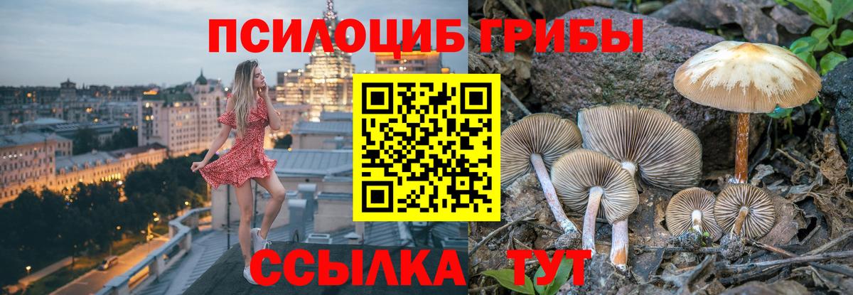 Можга  Галлюциногенные грибы мицелий  Вход с VPN  Псилоцибиновые грибы Magic Shrooms 